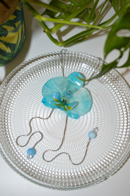 Orquídea Medusa Algodón Azul