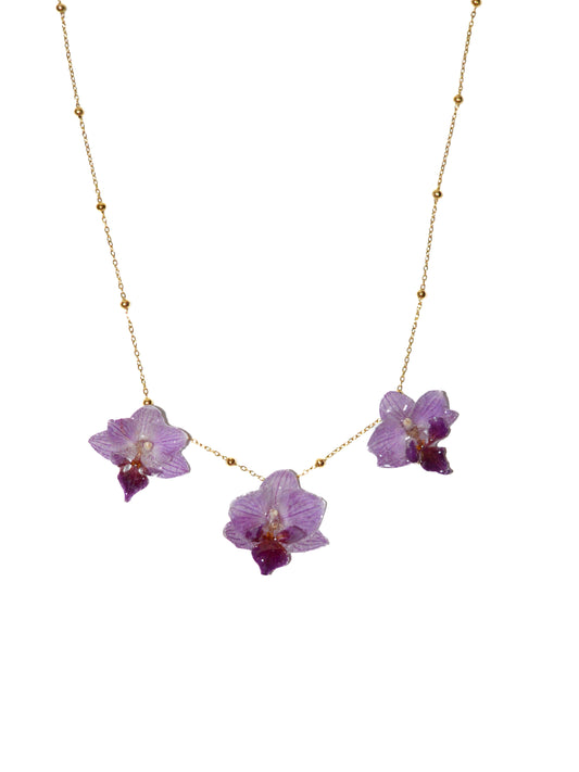 Orquídeas Super Nenas