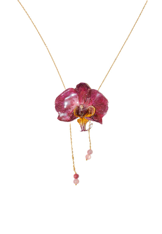 Orquídea Lip Combo