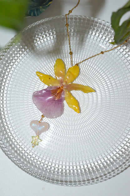 Orquídea Danza Caribeña