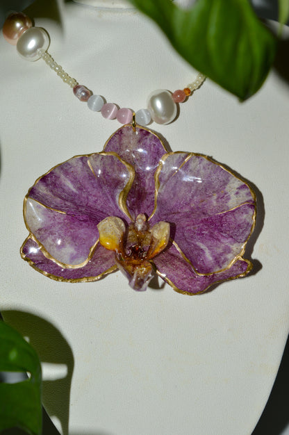 La Rosa