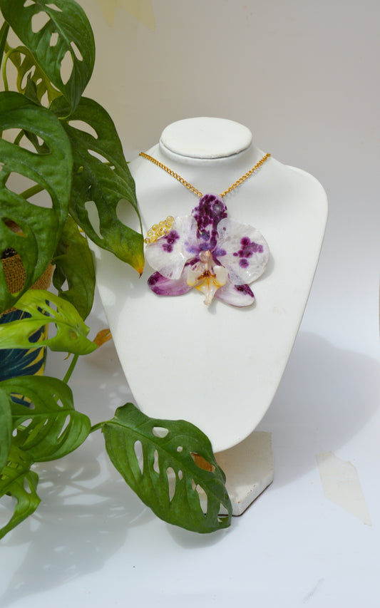 Orquídea Burbujas