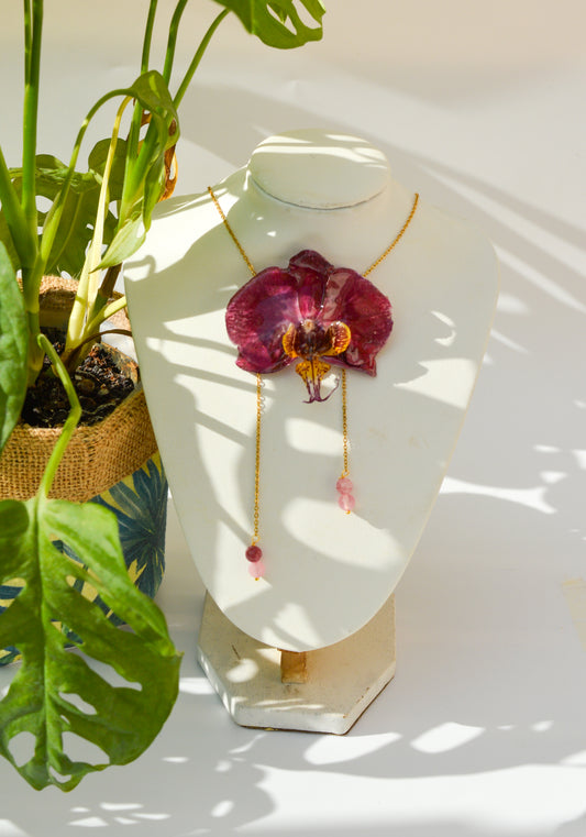 Orquídea Lip Combo