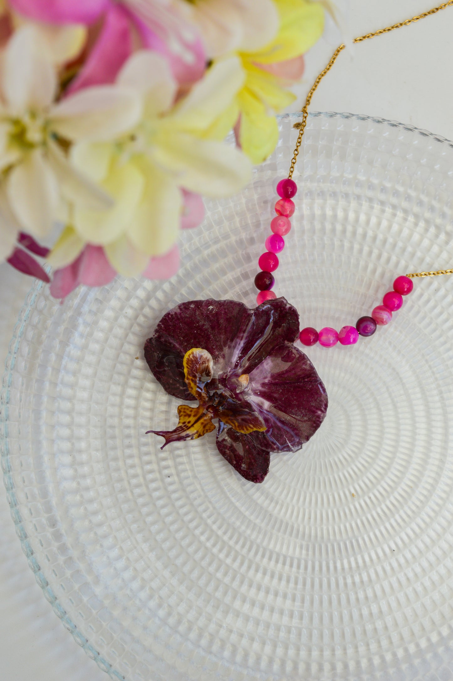 Orquídea Chispa Rosada