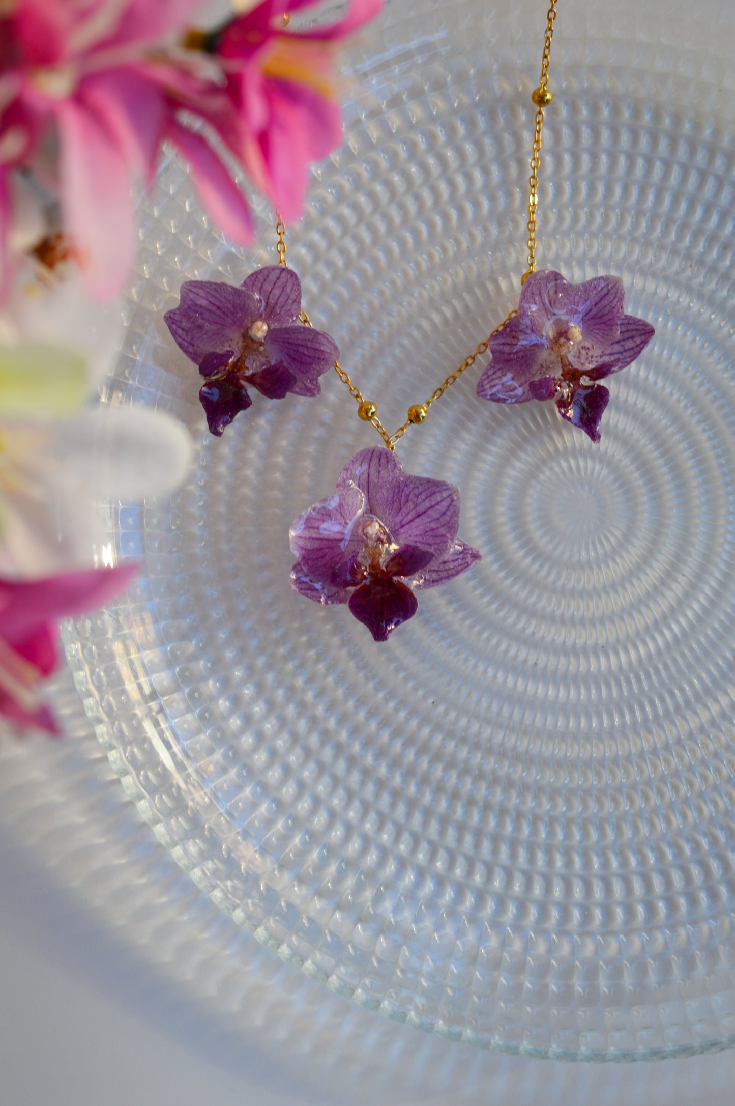 Orquídeas Super Nenas