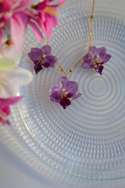 Orquídeas Super Nenas