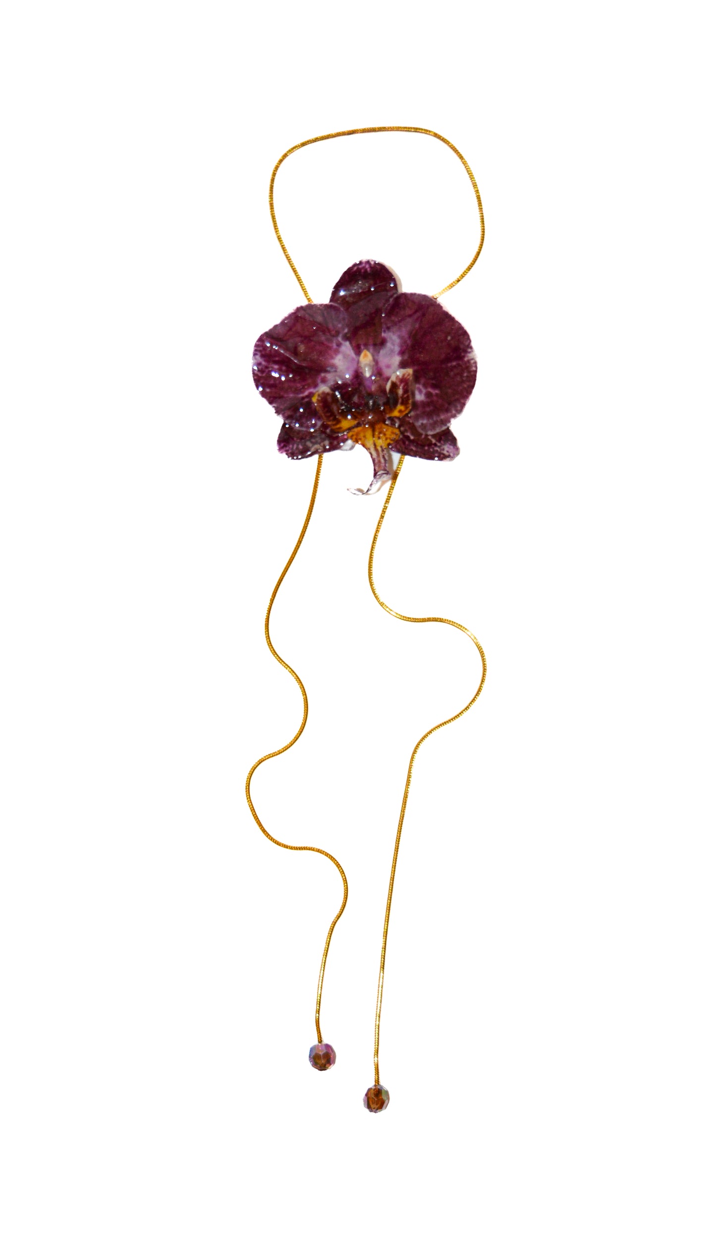 Medusa Frambuesa
