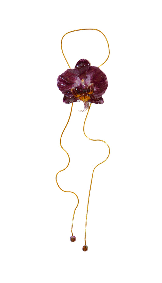 Medusa Frambuesa