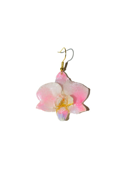 Pendientes Arcoiris