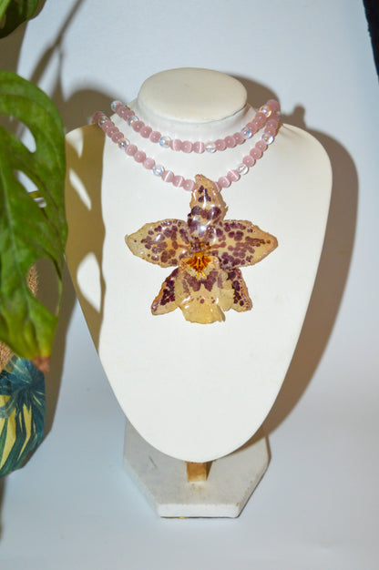 Entre ágatas y cristales