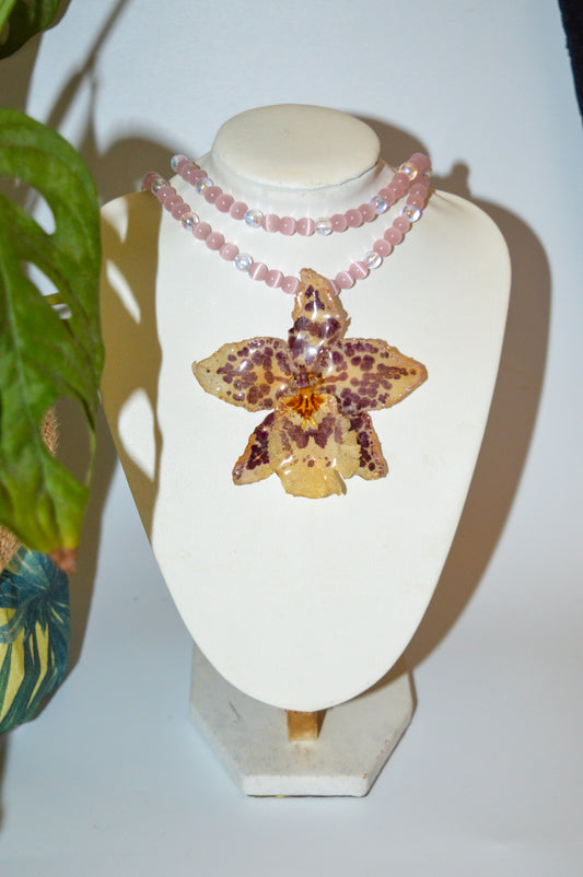 Entre ágatas y cristales