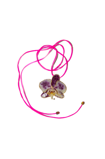 Orquídea Pura Pasión