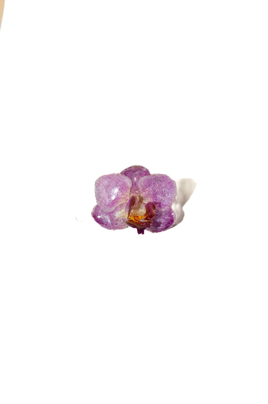 Anillo Orquídea Baby