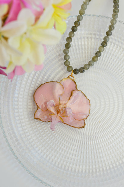Orquídea Aura Medieval