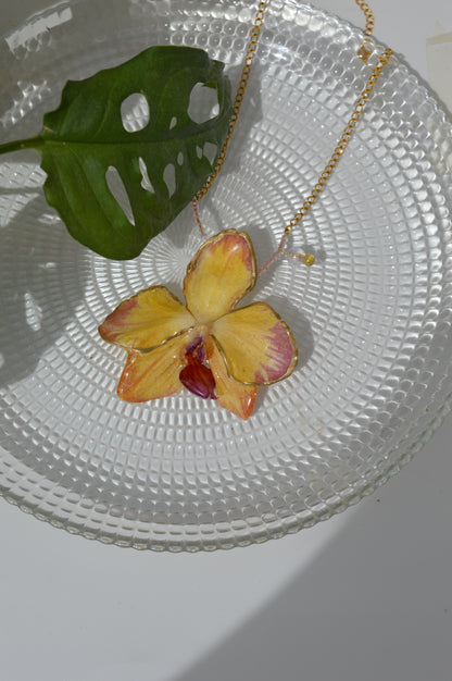 Orquídea Fresa y Lima