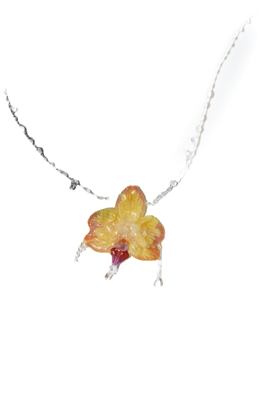 Orquídea Pequeña Gota
