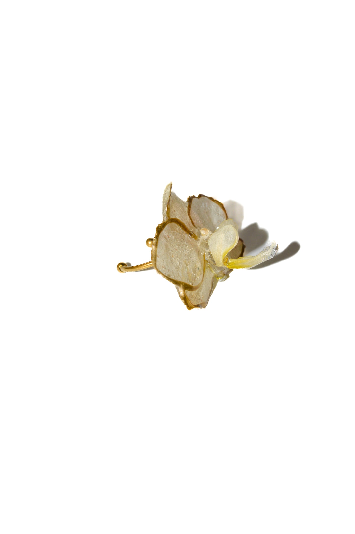 Anillo Elegance