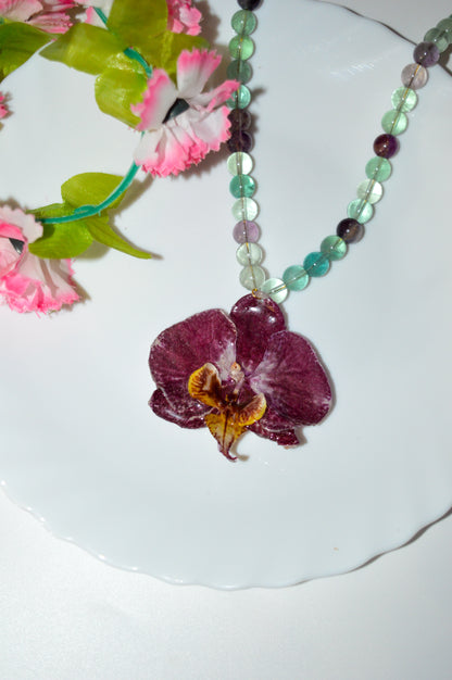 Orquídea Del Lago