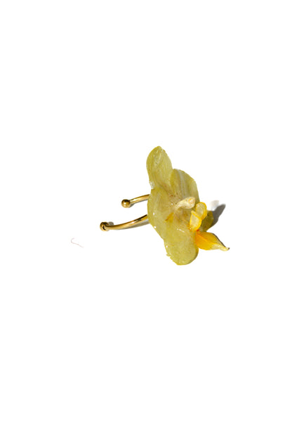 Anillo Orquídea Vainilla