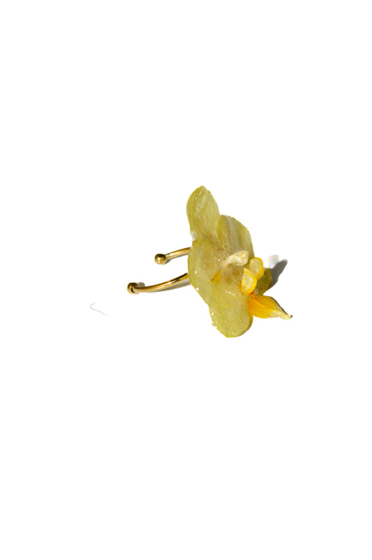 Anillo Orquídea Vainilla