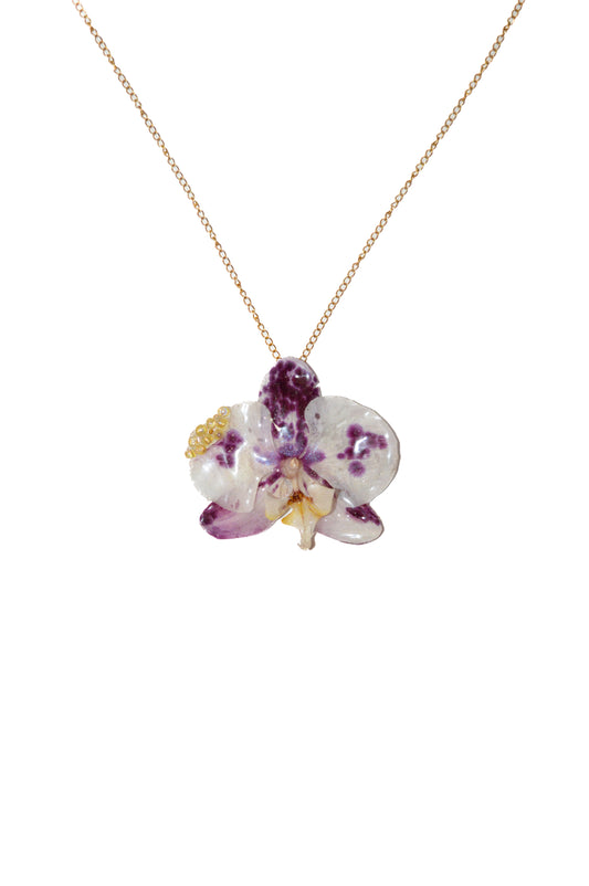 Orquídea Burbujas