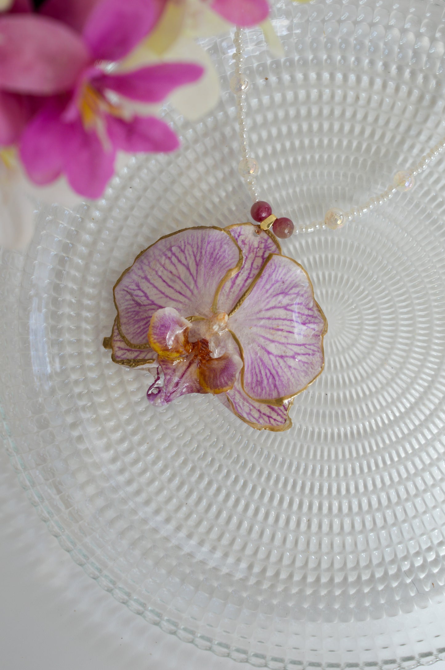 Orquídea Princess