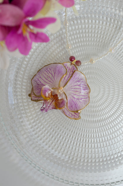 Orquídea Princess