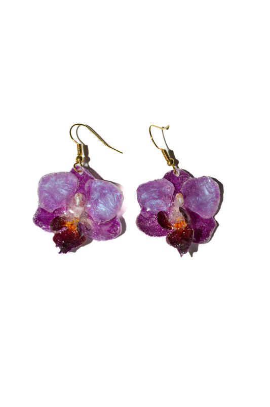 Pendientes Brillo