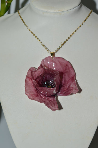 Amapola
