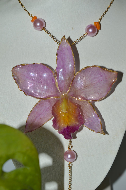 Atardecer en la Playa