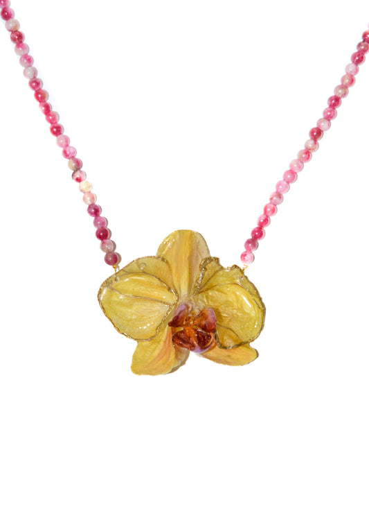 Orquídea Flora