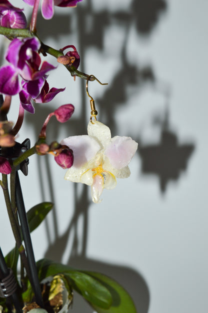 Pendientes Orquídea Mágica