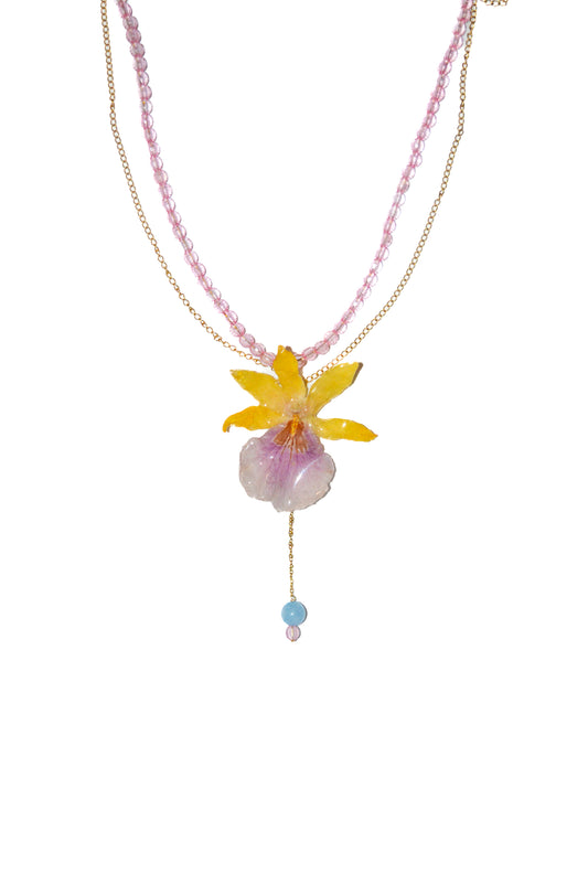Orquídea Rayo de Sol