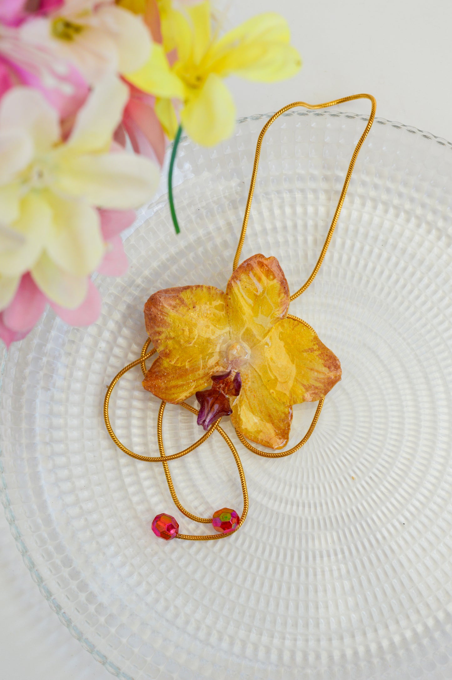 Orquídea Medusa Estrellada