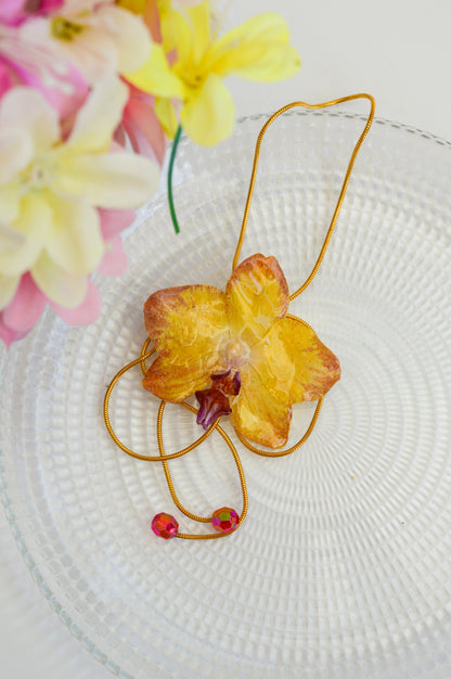 Orquídea Medusa Estrellada