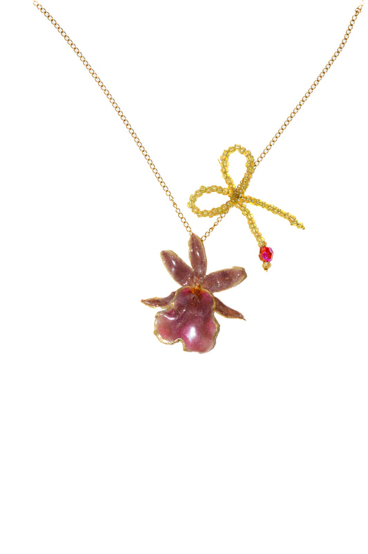 Orquídea Coquette
