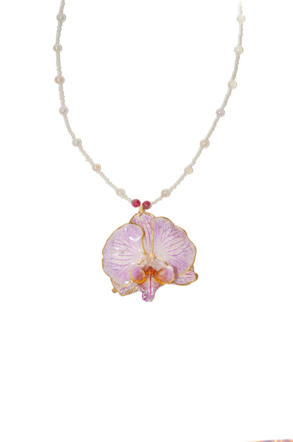 Orquídea Princess
