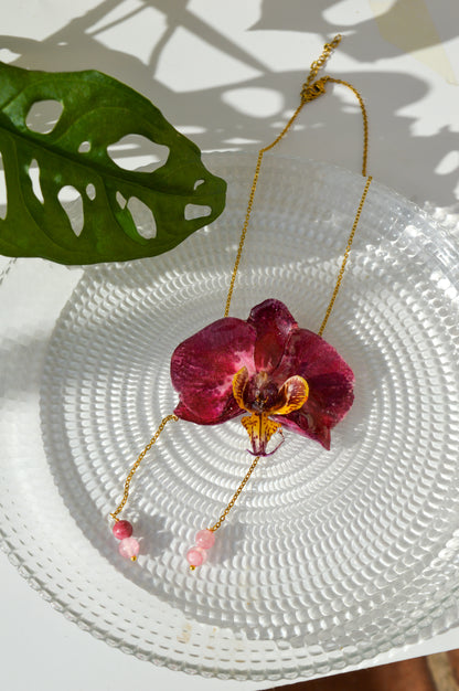 Orquídea Lip Combo