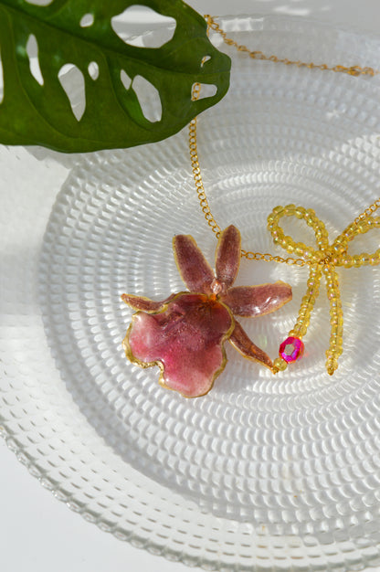 Orquídea Coquette