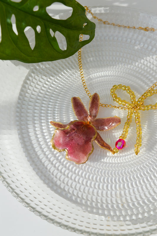 Orquídea Coquette