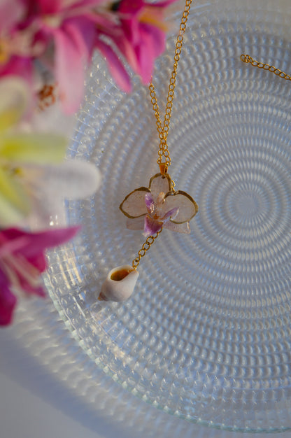Orquídea Mini Marina