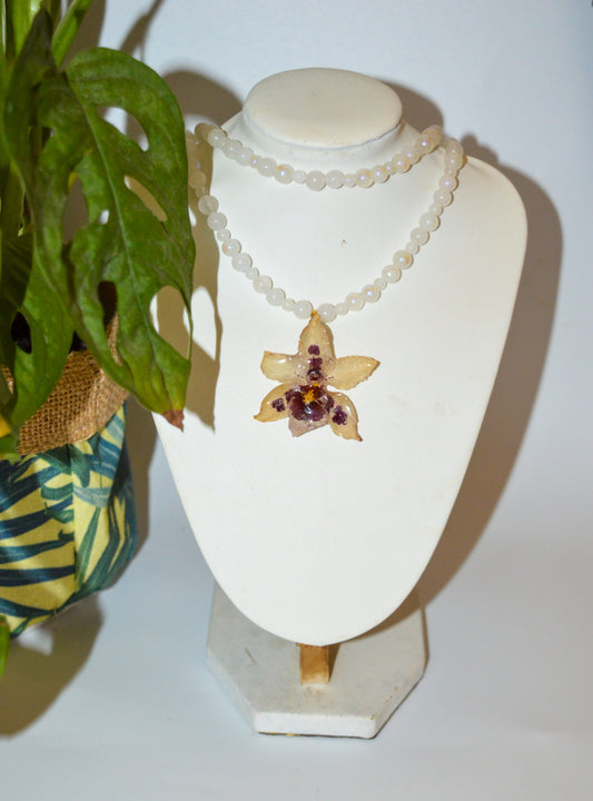 Piedra Luna Magnética