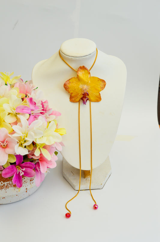 Orquídea Medusa Estrellada