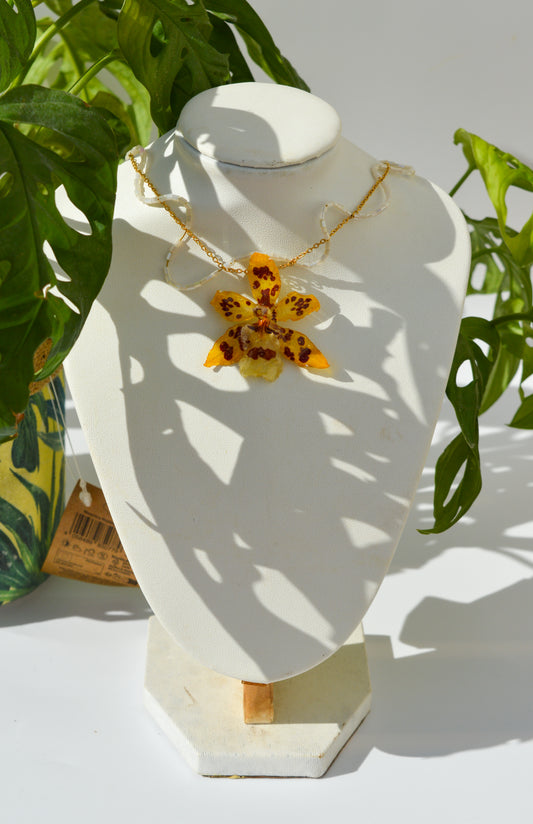 Orquídea Zumo de Limón