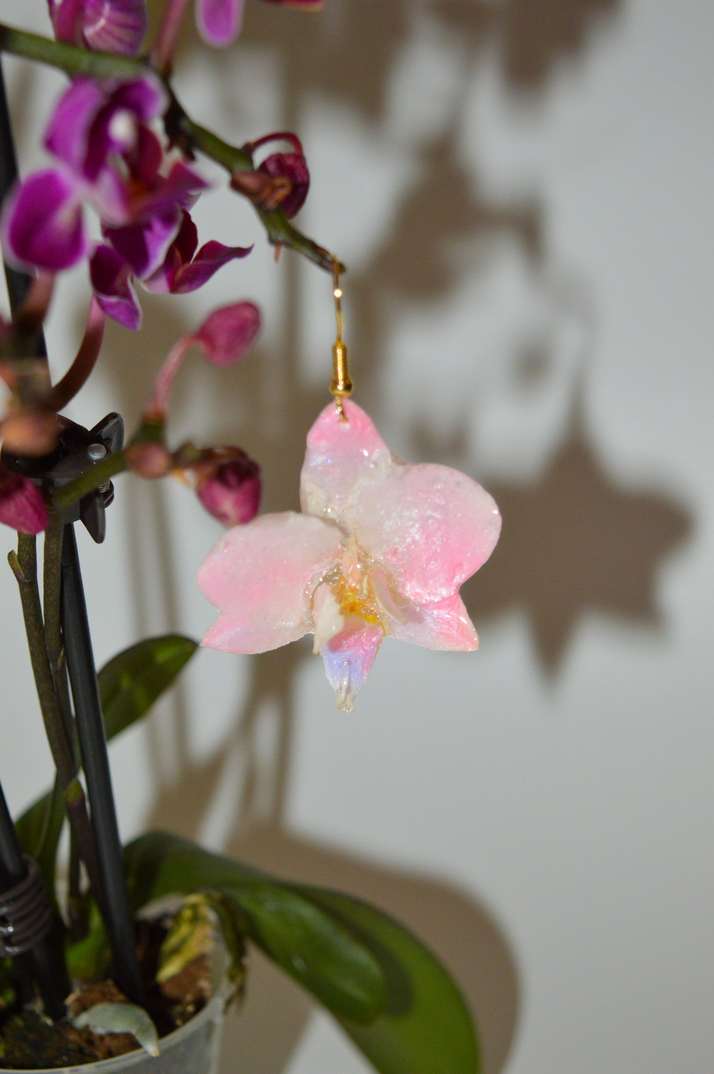 Pendientes Arcoiris