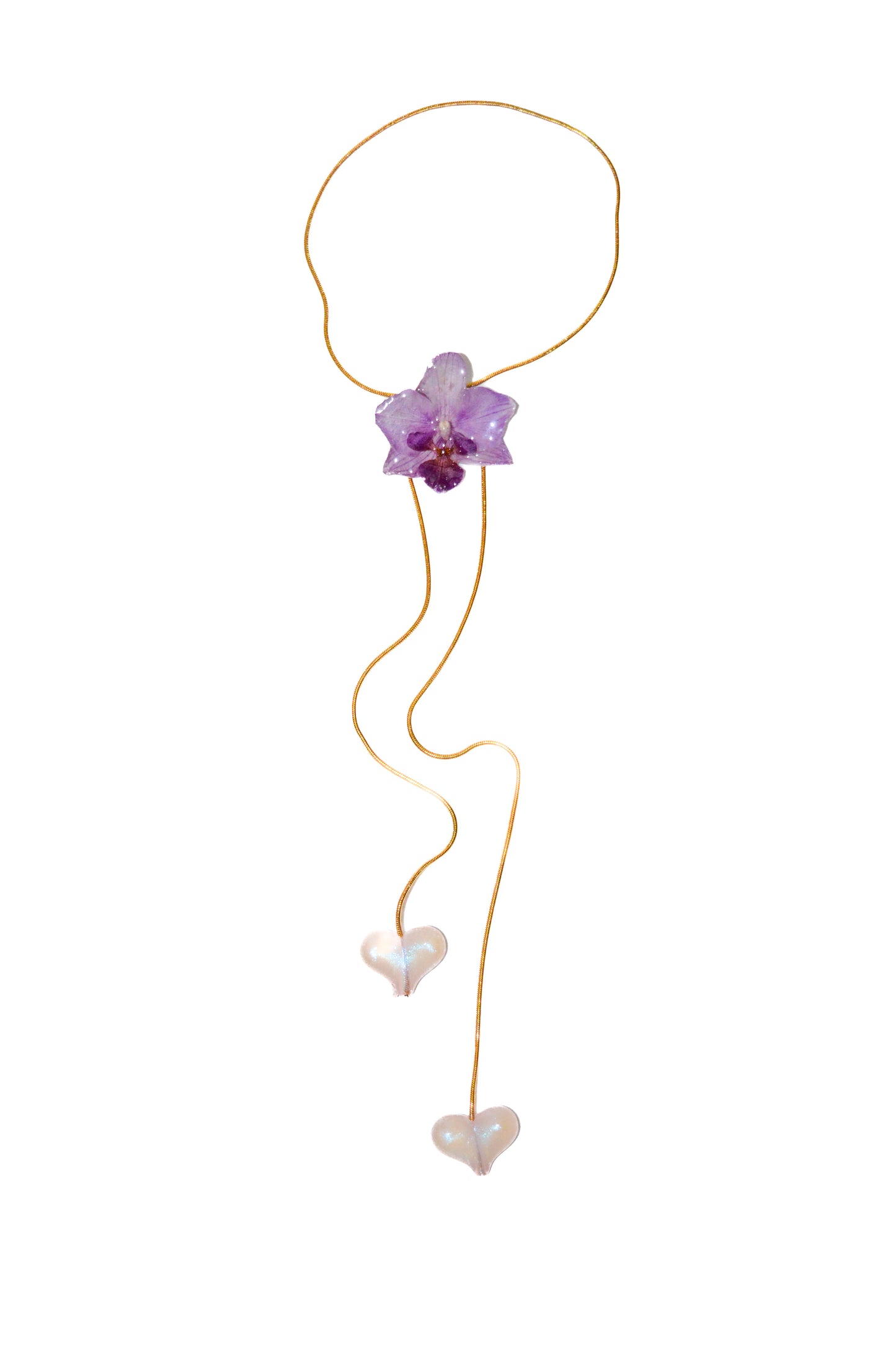Orquídea Medusa Little Heart