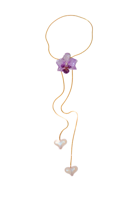 Orquídea Medusa Little Heart