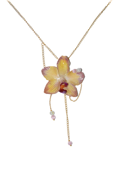 Orquídea Sueño Dulce
