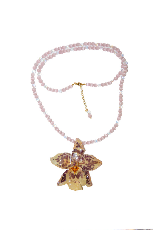 Entre ágatas y cristales