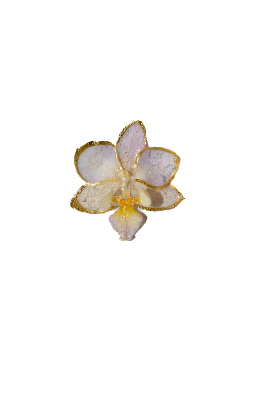 Anillo Orquídea Aura